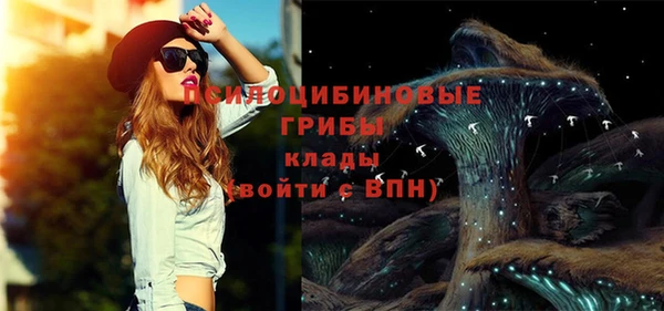 дурь Покровск