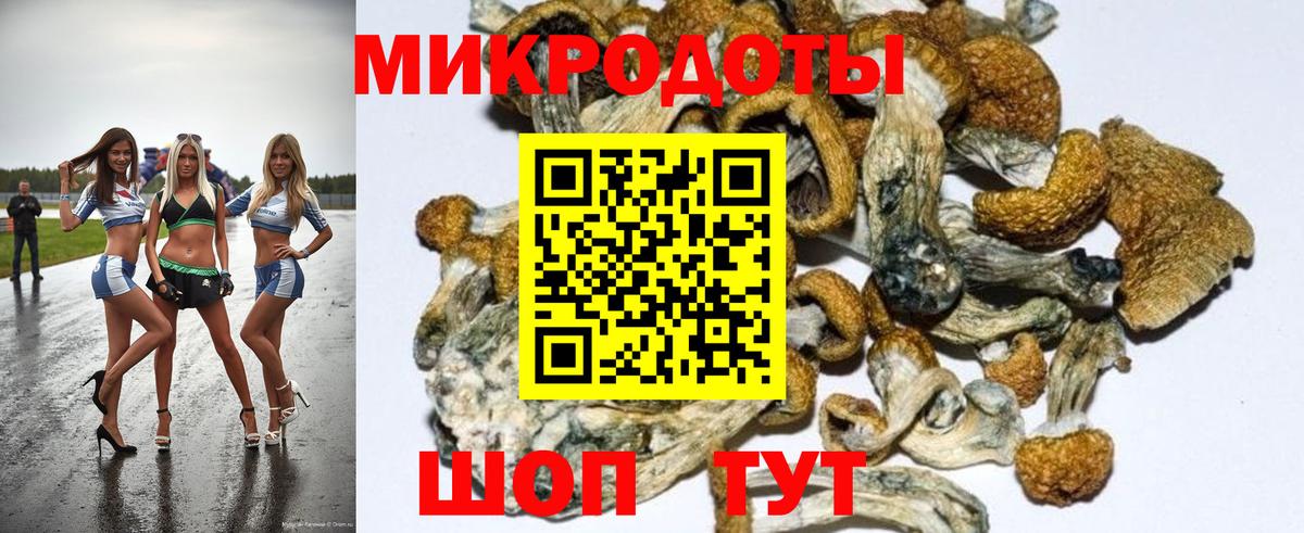 MDMA  Вход с VPN  Альфа-ПВП  ЛЁД  Кингисепп  Molly  ГАШ  COCAIN  МЕФ  Кетамин 