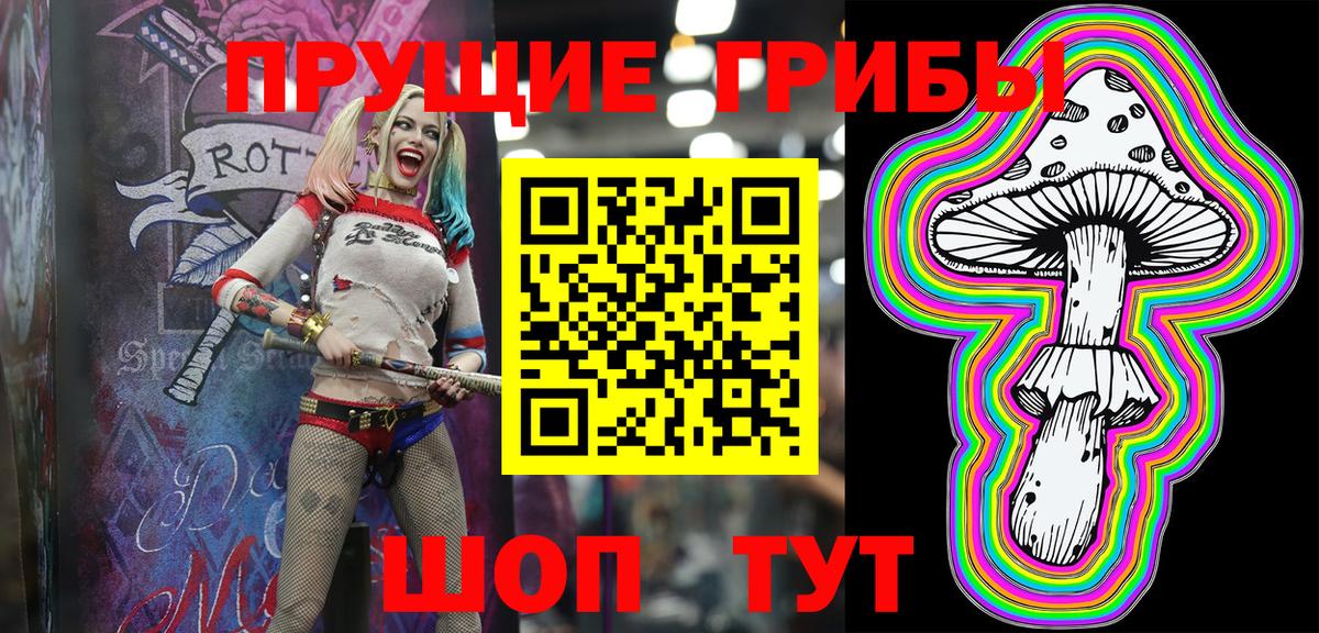 Галлюциногенные грибы Psilocybe  Вход с VPN  Псилоцибиновые грибы мицелий  Кингисепп 