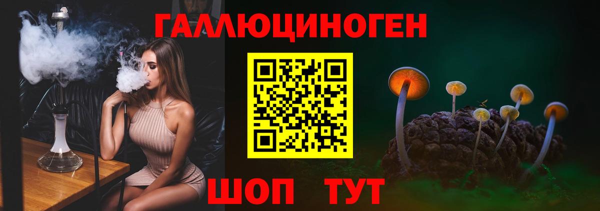 Псилоцибиновые грибы Magic Shrooms Кингисепп